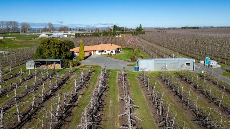 20 Parsons Road Meeanee_10