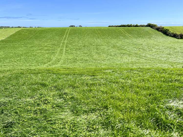 58 Manawapou Road Manutahi_21