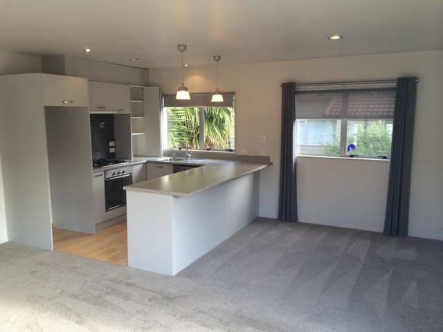 37a Campbell Road Onehunga_1