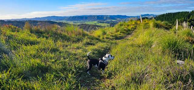 105 Linton Road Kaipara Flats_4