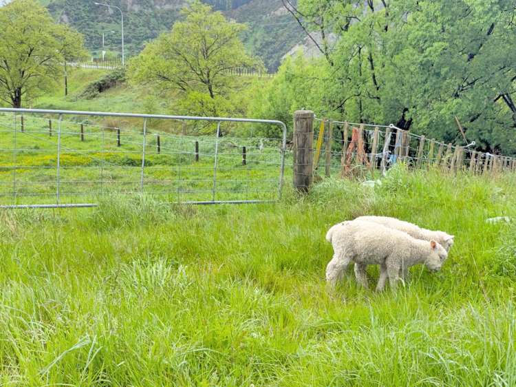 28 Kakariki Street Mangaweka_7