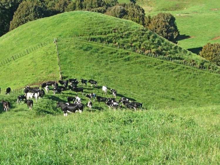 446 Stanley Road Te Popo_51