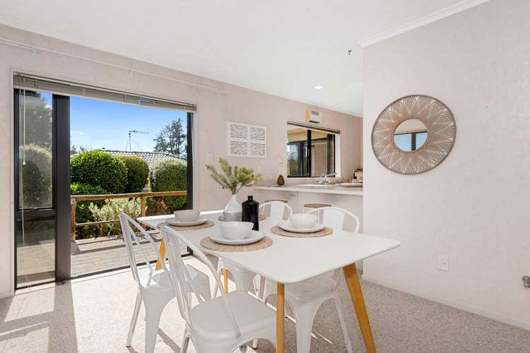 6b Camellia Place Greerton_9