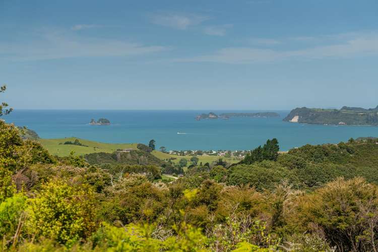 57 Tarapatiki Drive Whitianga_10