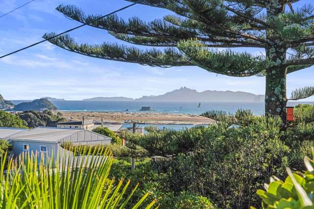 Your Entry Level GOLDEN CIRCLE Opportunity