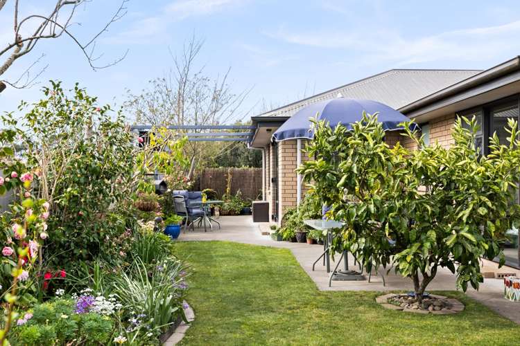 123 Arataki Road Havelock North_18