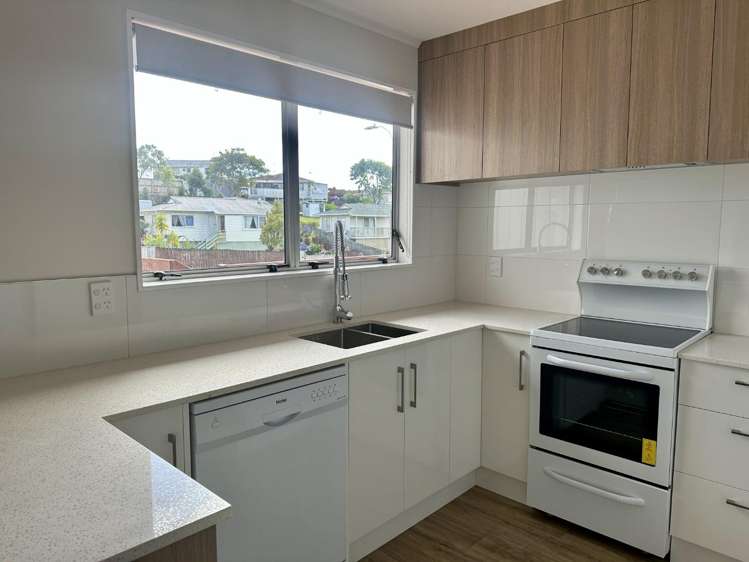 1 Theban Place Totara Vale_2