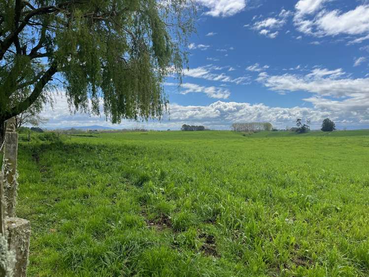 802 Kakahu Road Tapapa_19