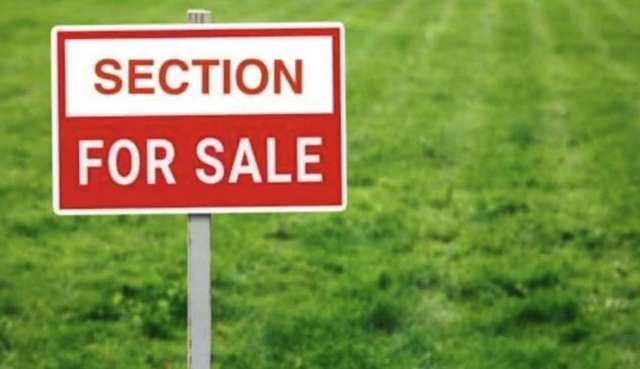 **Prime Land for Sale in Papakura, Auckland! **