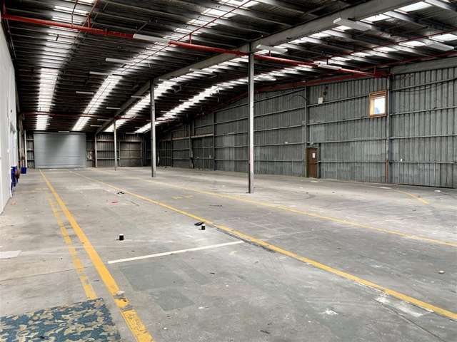 567 Wairakei Road Burnside_3