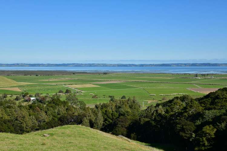 3356 Kaipara Coast Highway Glorit_43