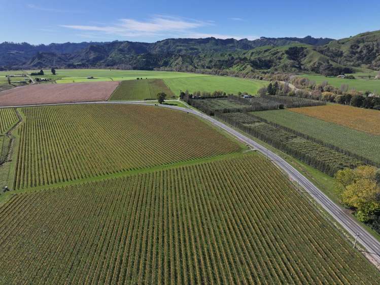2057 Matawai Road Te Karaka_11