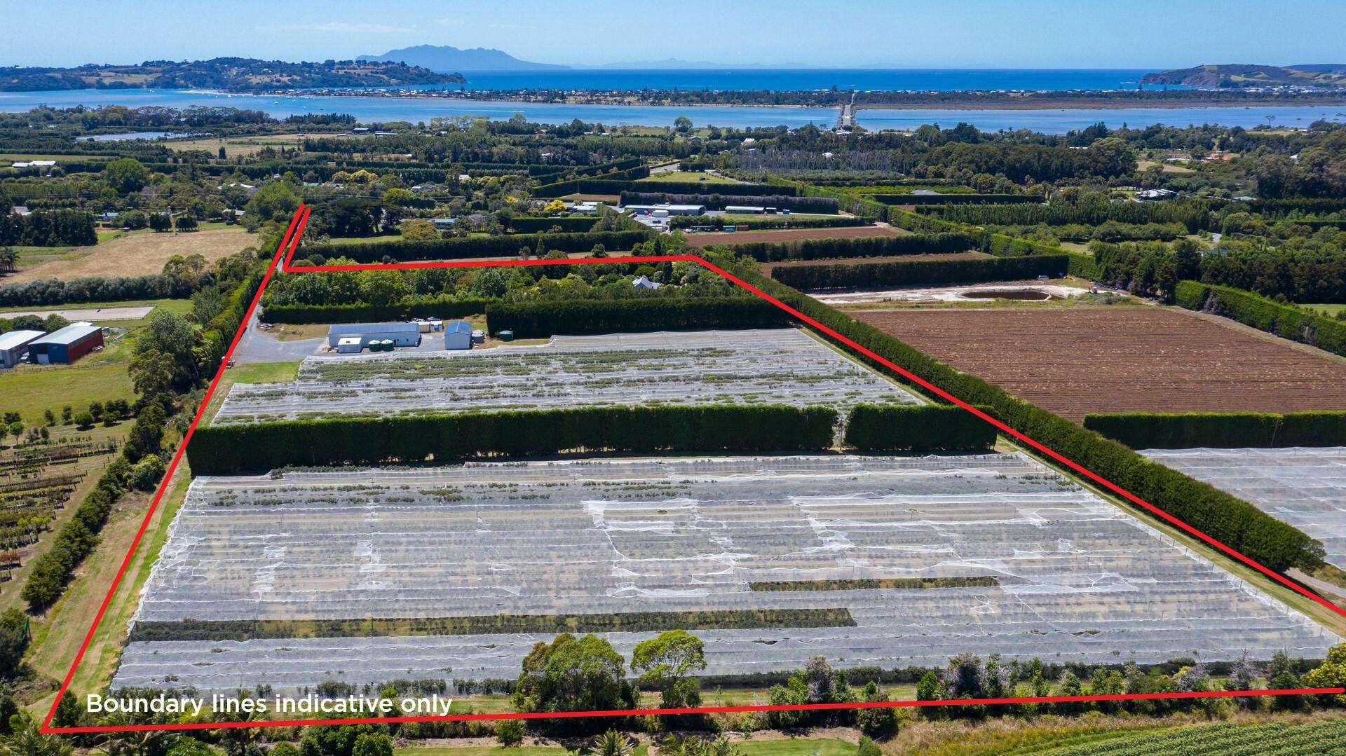 242A Omaha Flats Road Omaha_0