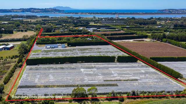 Omaha doorstep huge land endless opportunity