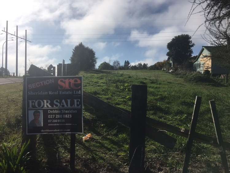 Arapuni Road Arapuni_13