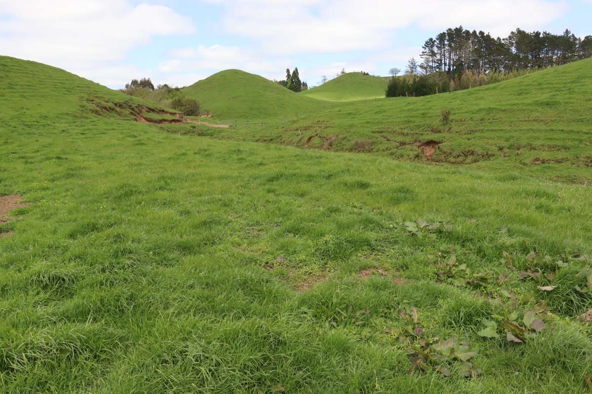 121 Tarata Road_3