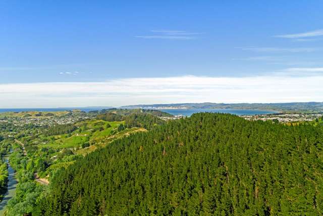 Substantial development and established woodlot