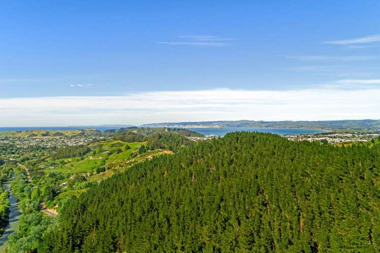 Riverside Road Matokitoki_0