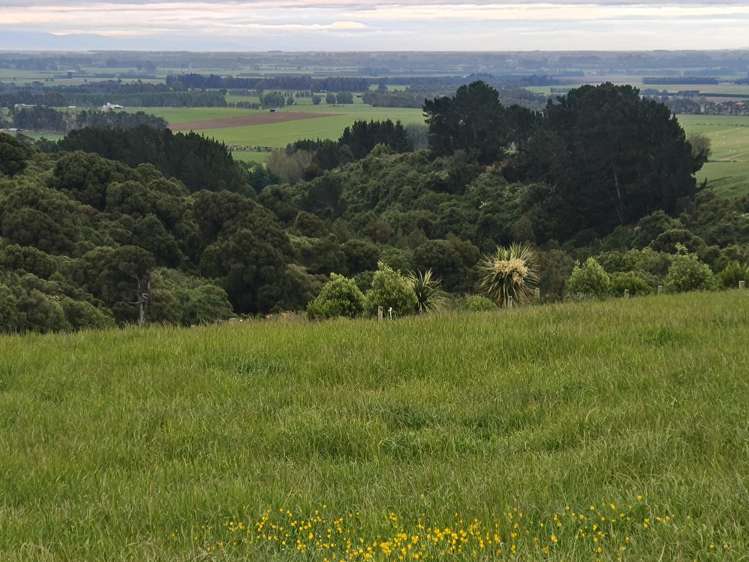 137 Kahikatea Drive Winton_12