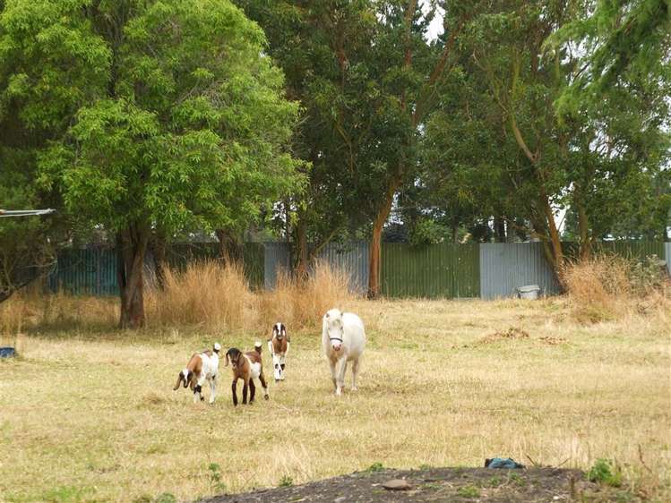 78 Acacia Drive Levels_14