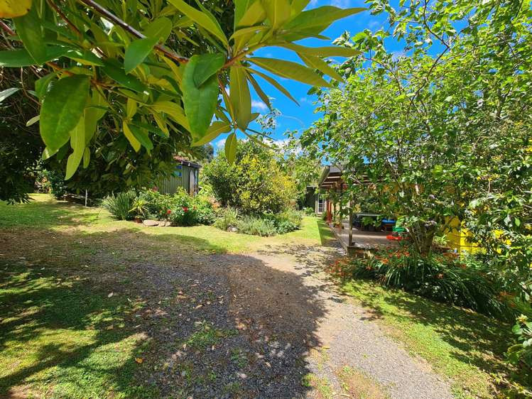 Site 3/180 Driving Creek Road Coromandel_20