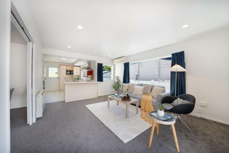 50 Hazlewood Avenue Karori_8