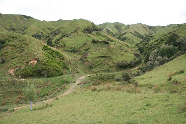 1110 Mangaehu Road Pohokura and Surrounds_4