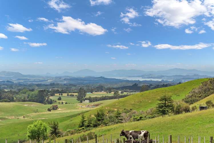 862 Pungaere Road Waipapa_15