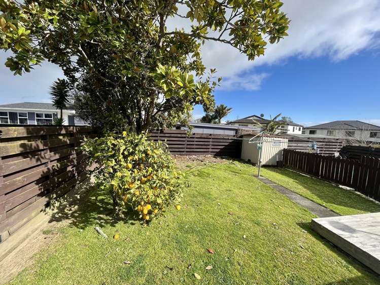 169 Elliot Street Pahurehure_15