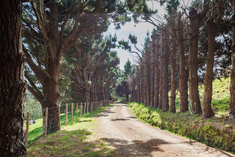 104 Harrison Hill Road Aokautere_1