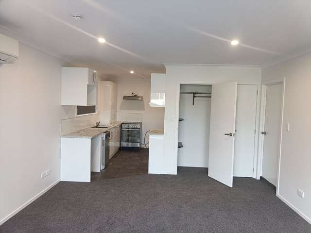 169A Boucher Avenue Te Puke_4