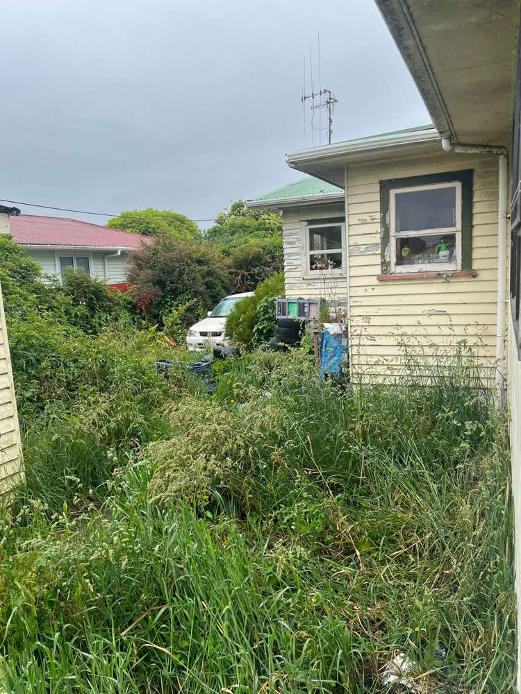 21 Ferguson Street Levin_7