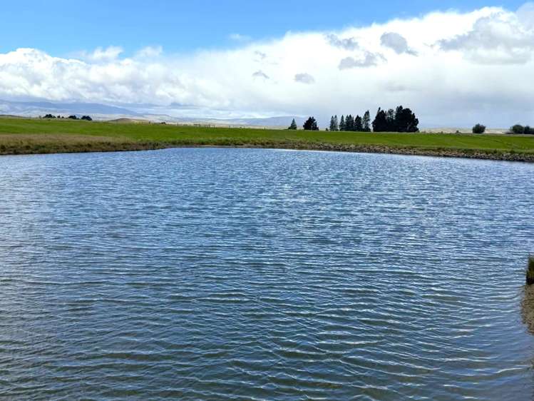 Bypass Road Ranfurly_12