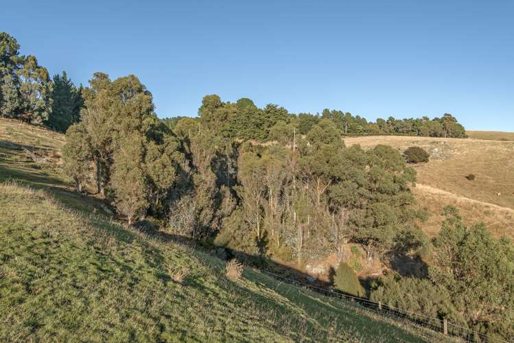 2 Mount Herbert Peak Road Diamond Harbour_14