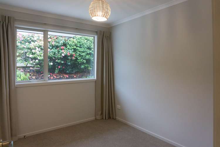 151a Tomahawk Road Andersons Bay_9