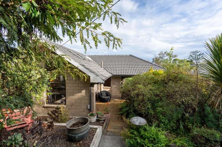 20 Vernon Terrace Hillsborough_19