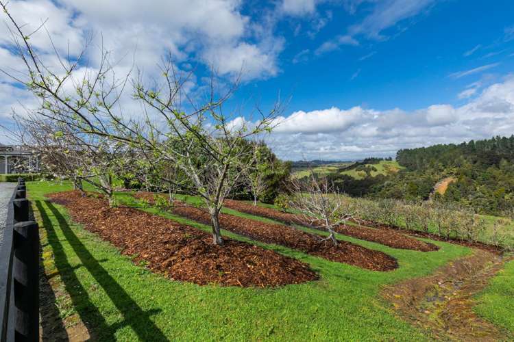 1093b Pohuehue Road Warkworth_51