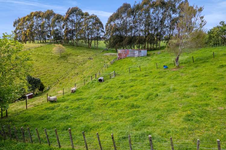 275 Henwood Road Paraite_21