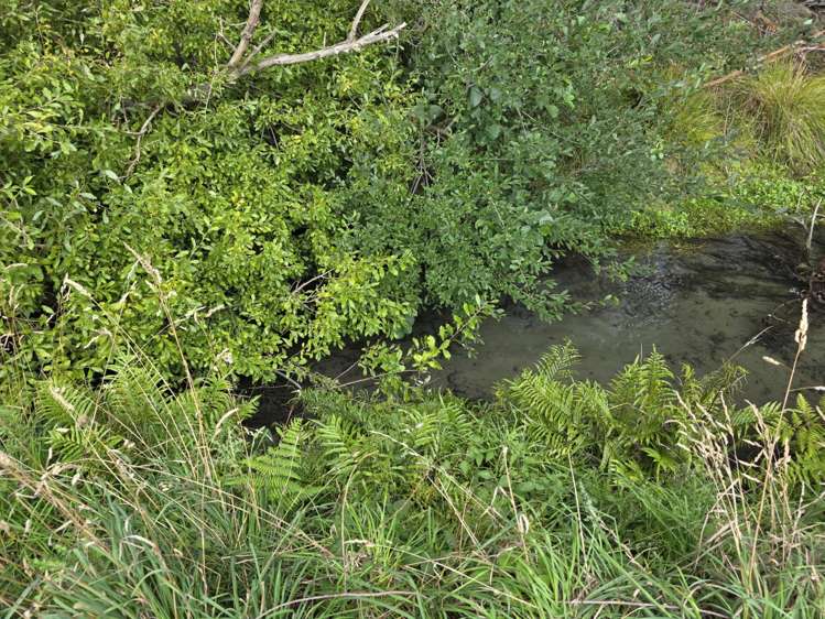 16 Northbrook Road Rangiora_9