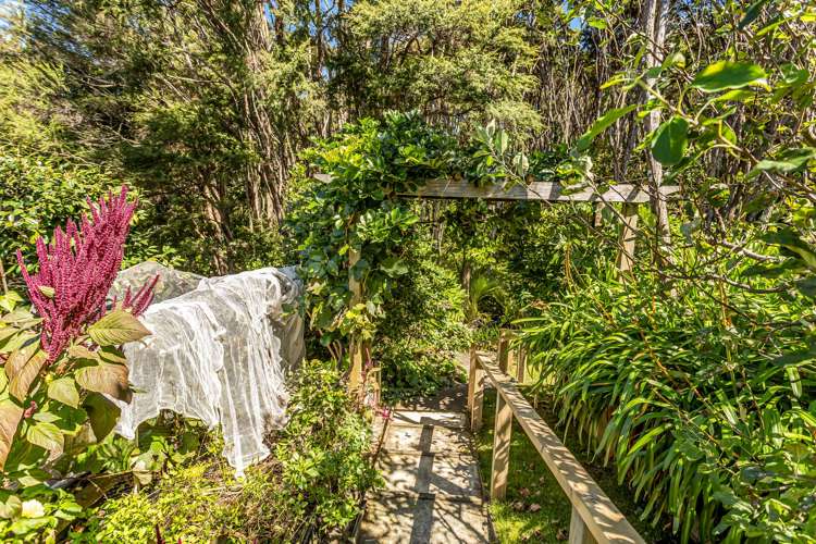 93 Tarapatiki Drive Whitianga_31