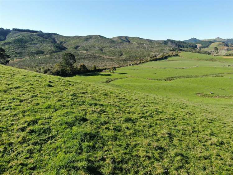 52 Kopuku Road Waerenga_20