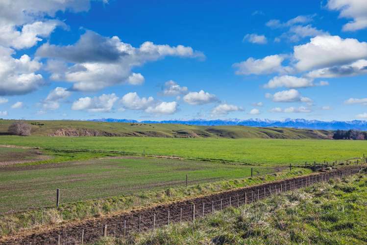 Ngaruru Road Ongaonga_9