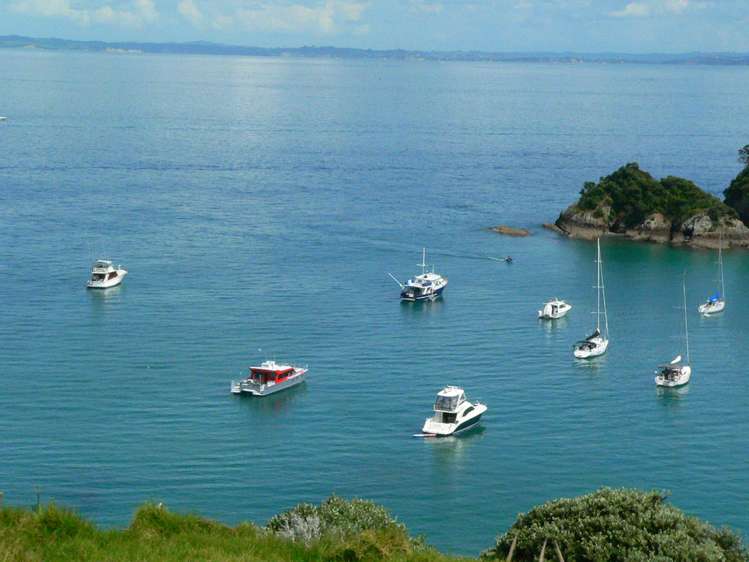 30 Woody Bay Road Rakino Island_4