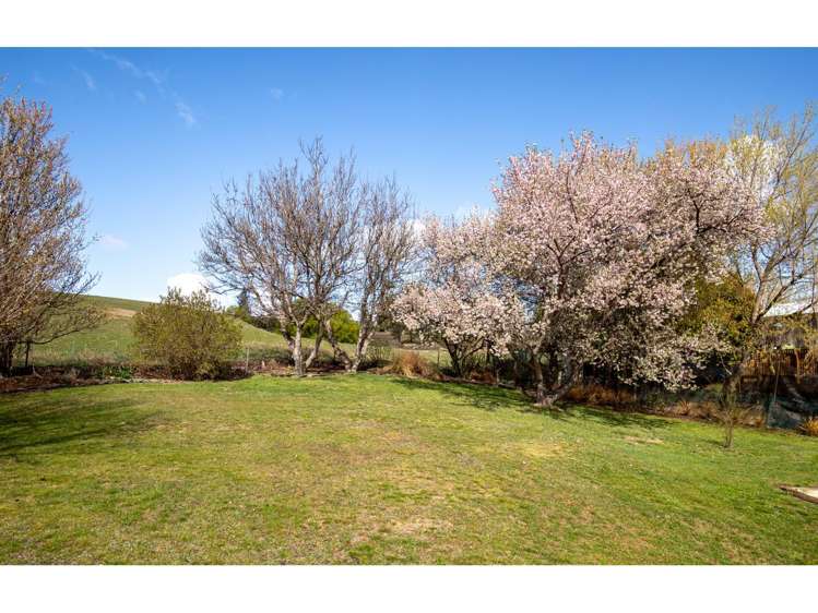 5 Swindon Street Ophir_14