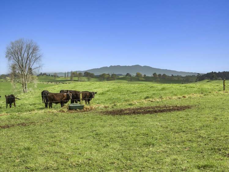 557 Wiltsdown Road Wiltsdown_6