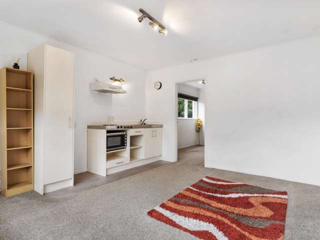 1/6 Tahora Avenue Remuera_2