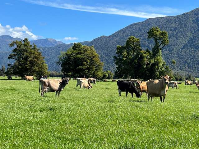 694-778 Waitaha Road Kakapotahi_4