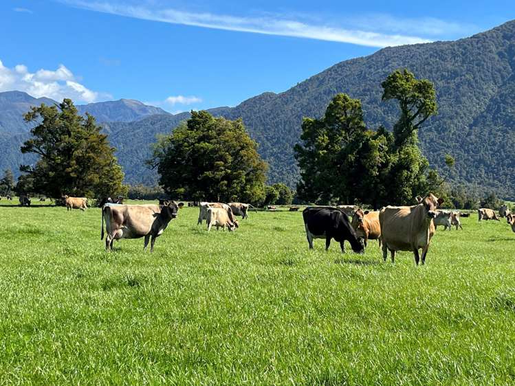 694-778 Waitaha Road Kakapotahi_4