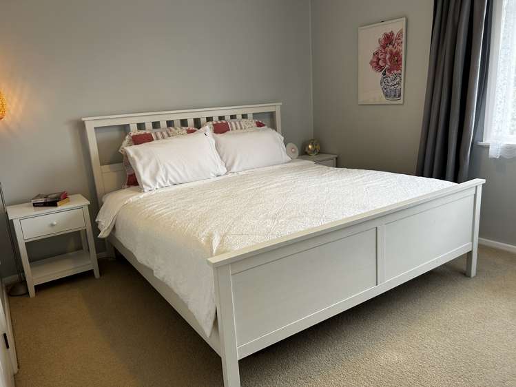 7 Roosevelt Street Levin_9