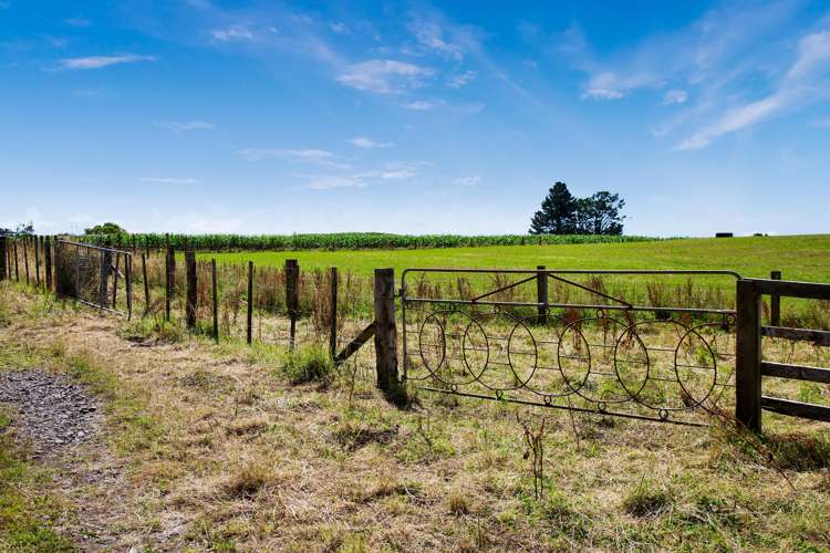 1256 Mangorei Road Mangorei_7